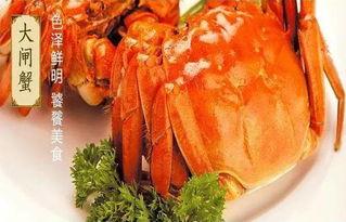 娱乐吃瓜君大闸蟹,大闸蟹背后的故事与魅力